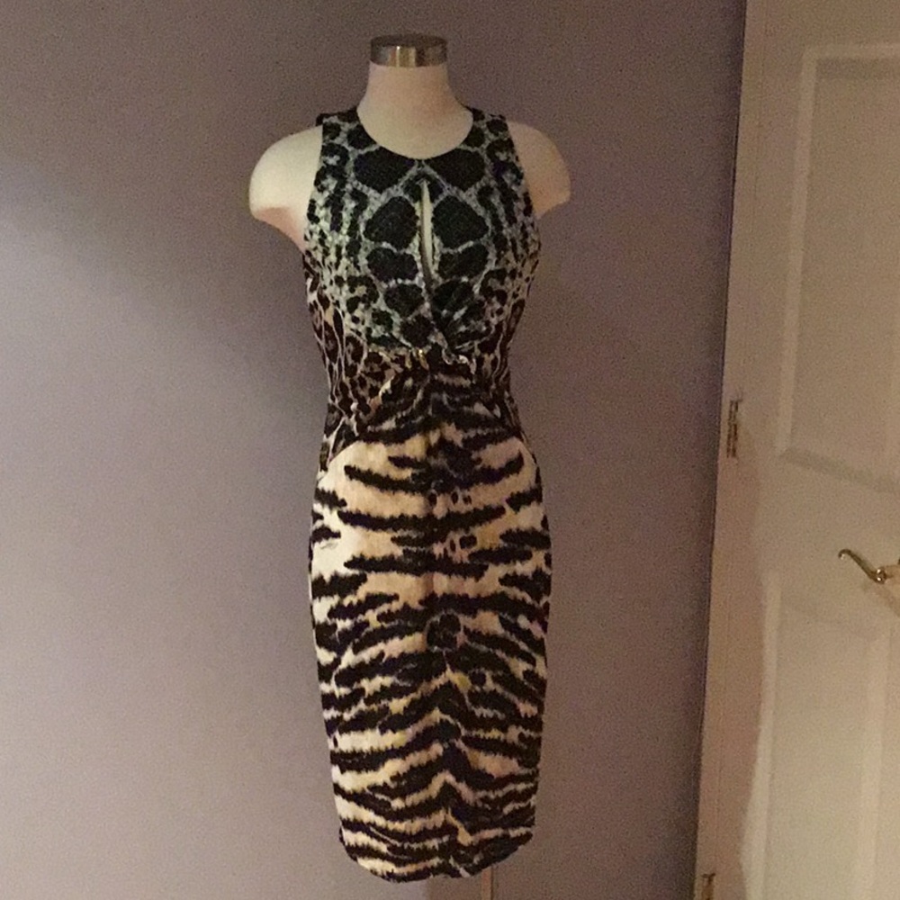 Roberto Cavalli Dress